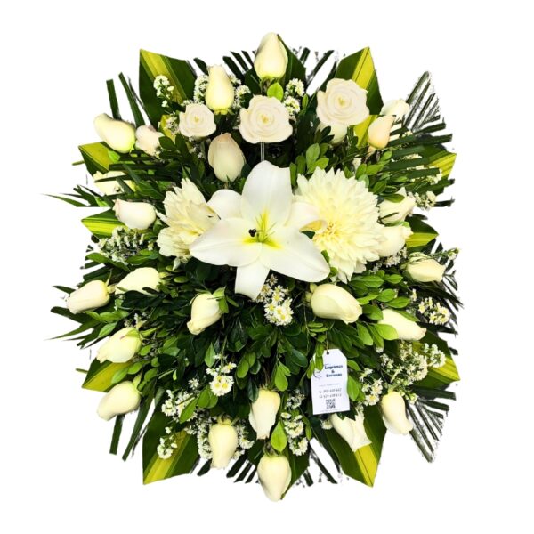 Lágrima Fúnebre Santorin