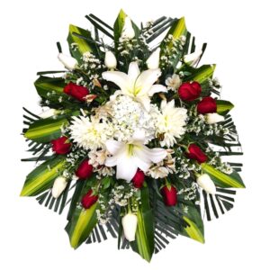 Lagrima Fúnebre Blanquiroja
