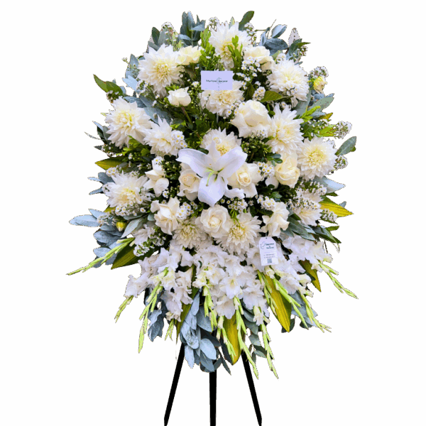 Lágrima Pedestal Dalia
