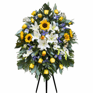 Lágrima Pedestal Girasol
