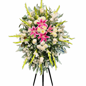 Lágrima Pedestal Gladiolos