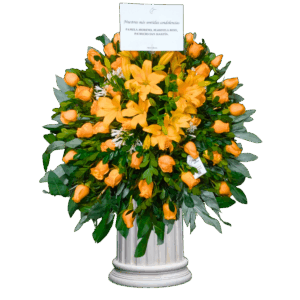 Lagrima Fúnebre Naranja