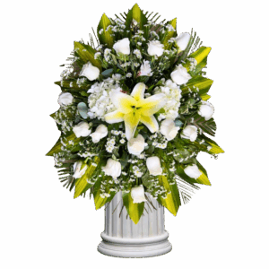 Lágrima Fúnebre Paz