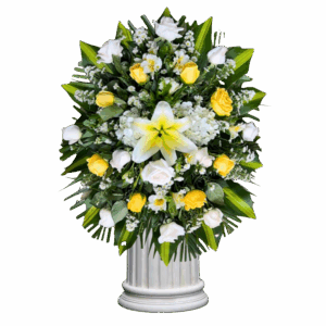 Lágrima Fúnebre Primavera