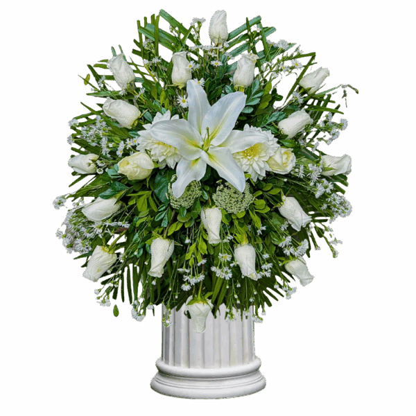 Lágrima Fúnebre Delicada
