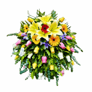 Lágrima Fúnebre Multicolor