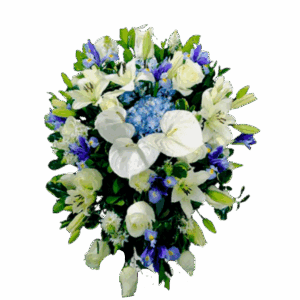 Lagrima Fúnebre de Anturios