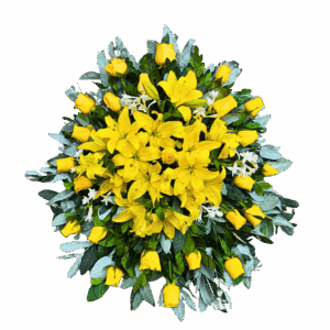 Lágrima Fúnebre Amarililiums