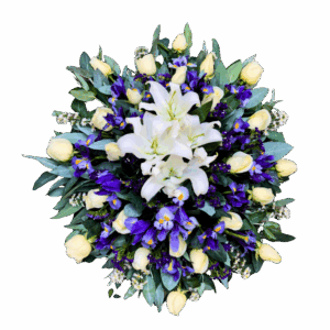 Lágrima Fúnebre Cielo