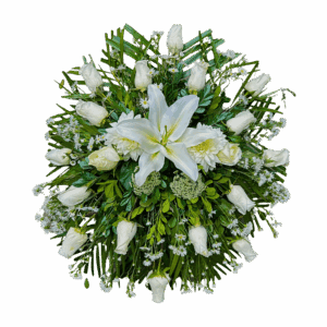 Lágrima Fúnebre Delicada